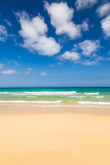 Canvas Print - Beautiful ocean beach