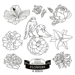 Wall Mural - Set of flowers and birds vector illustration