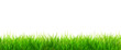 Leinwandbild Motiv Gras Panorama