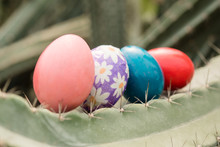Easter Eggs On Cactus