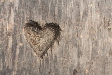 Heart Shape Cut In Wood