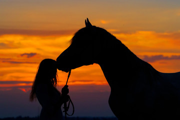 Wall Mural - Beautiful horse with girl silhouette on sunset