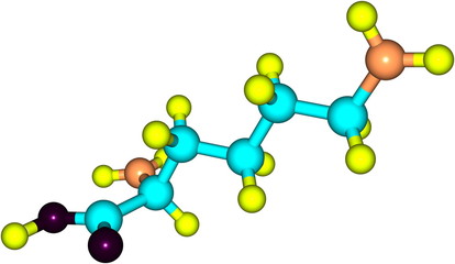 Wall Mural - Lysine acid molecule isolated on white