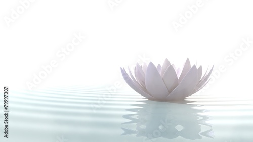Zen lotus on water © dampoint