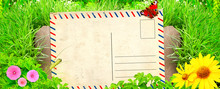 Summer Background With Old Post Card And Green Grass