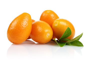 Wall Mural - Kumquat