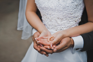 Wall Mural - Wedding rings in hands of the newly-married couple 2070.