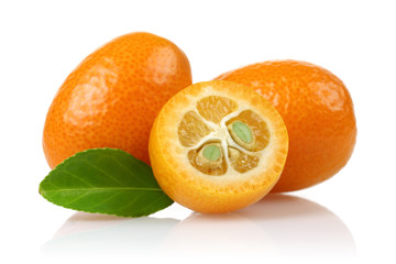 Poster - Kumquat Group