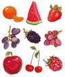 Vector set with fruits and berries: red, purple and orange