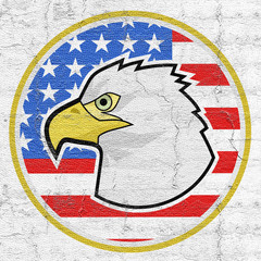 Sticker - America eagle emblem