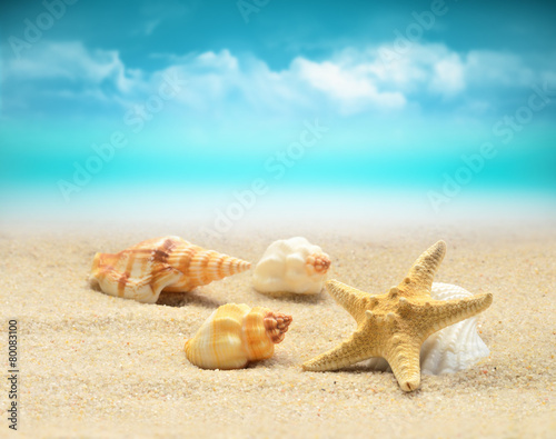 Naklejka dekoracyjna Summer beach. Starfish and seashell on the sand.