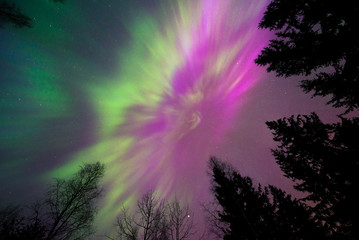 Wall Mural - northern lights