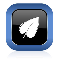 nature square glossy icon leaf symbol