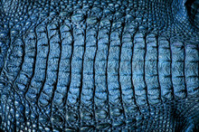 Crocodile Leather Texture Background