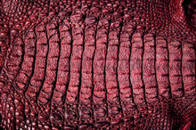 Crocodile Leather Texture Background