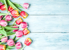 Pink And Red Tulips On A Wooden Background.
