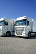 Logistik, weiße, abgestellte Lastkraftwagen nebeneinander