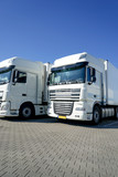 Fototapeta  - Logistik, weiße, abgestellte Lastkraftwagen nebeneinander