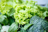 Fototapeta Do pokoju - Lettuce, broccoli and greens