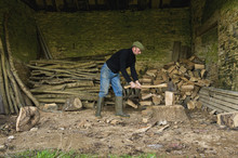 A Man Chopping Wood With An Axe, A Pile Of Logs And Chopped Wood.