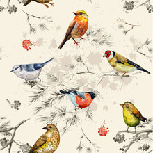 Vintage Seamless Texture Of Little Birds. Watercolor Painting