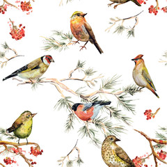 Wall Mural - seamless texture of forest birds. watercolor painting