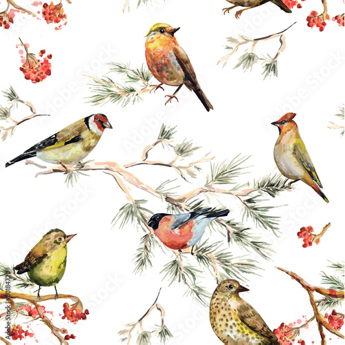seamless texture of forest birds. watercolor painting