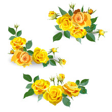 Set Of Yellow Roses.