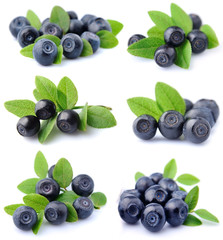 Wall Mural - Blueberries