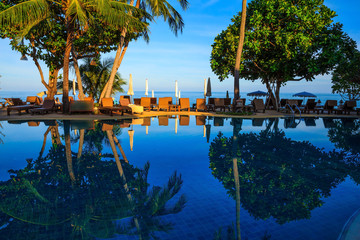 Wall Mural - Palm trees reflected in water