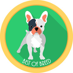 Wall Mural - dog best of breed medal icon flat design