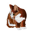 © zdenat5 - Small kitten color vector