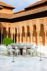 Wall Mural - Alhambra de Granada: The Court of the Lions
