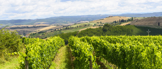 Wall Mural - Crete Senesi (Tuscany, Italy)