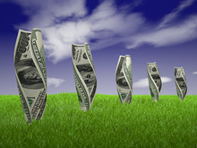 Dollar Bills On Grass