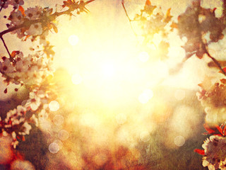Fotomurales - Spring blossom blurred background. Vintage styled, sepia toned