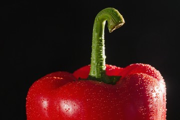 Red pepper on black background