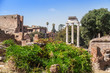 Old Roman Forum in Rome, Italy