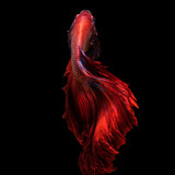 160_f_80295790_but6qop9rv935yuzygimsa6foju1ctqd