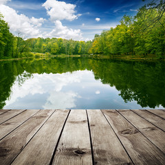 Sticker - lake in forest