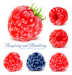 Raspberries and blackberry.