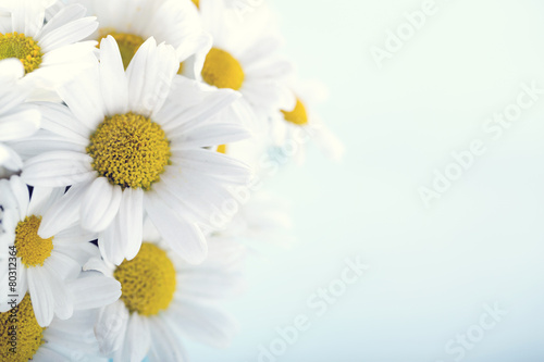 Get Hundertmal Desktop Wallpaper Free Hundertmal