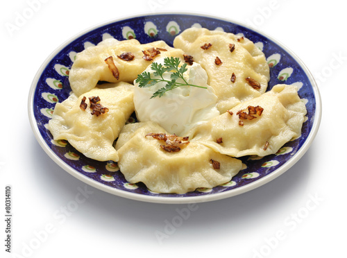 Nowoczesny obraz na płótnie homemade pierogi dumplings, polish food