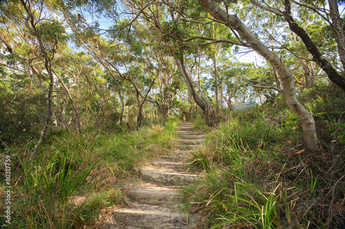 Fotografia, Obraz Bushwalking in Jervis Bay National Park