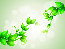 Green Branches Background