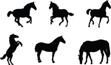 Set Of 6 Different Moving Horses Silhouettes