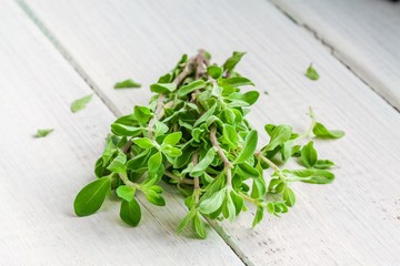 Wall Mural - Green marjoram herb leaves on a wooden background