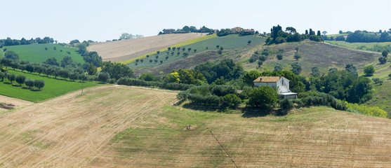 Summer landscape in Marches (Italy)