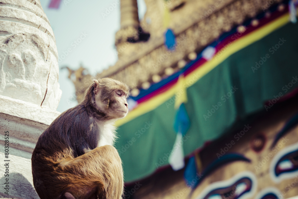 Stupa in Swayambhunath Monkey temple in Kathmandu, Nepal. Stock Photo ...