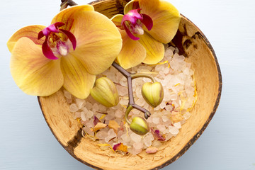 Wall Mural - Sea salt, yellow orchid.